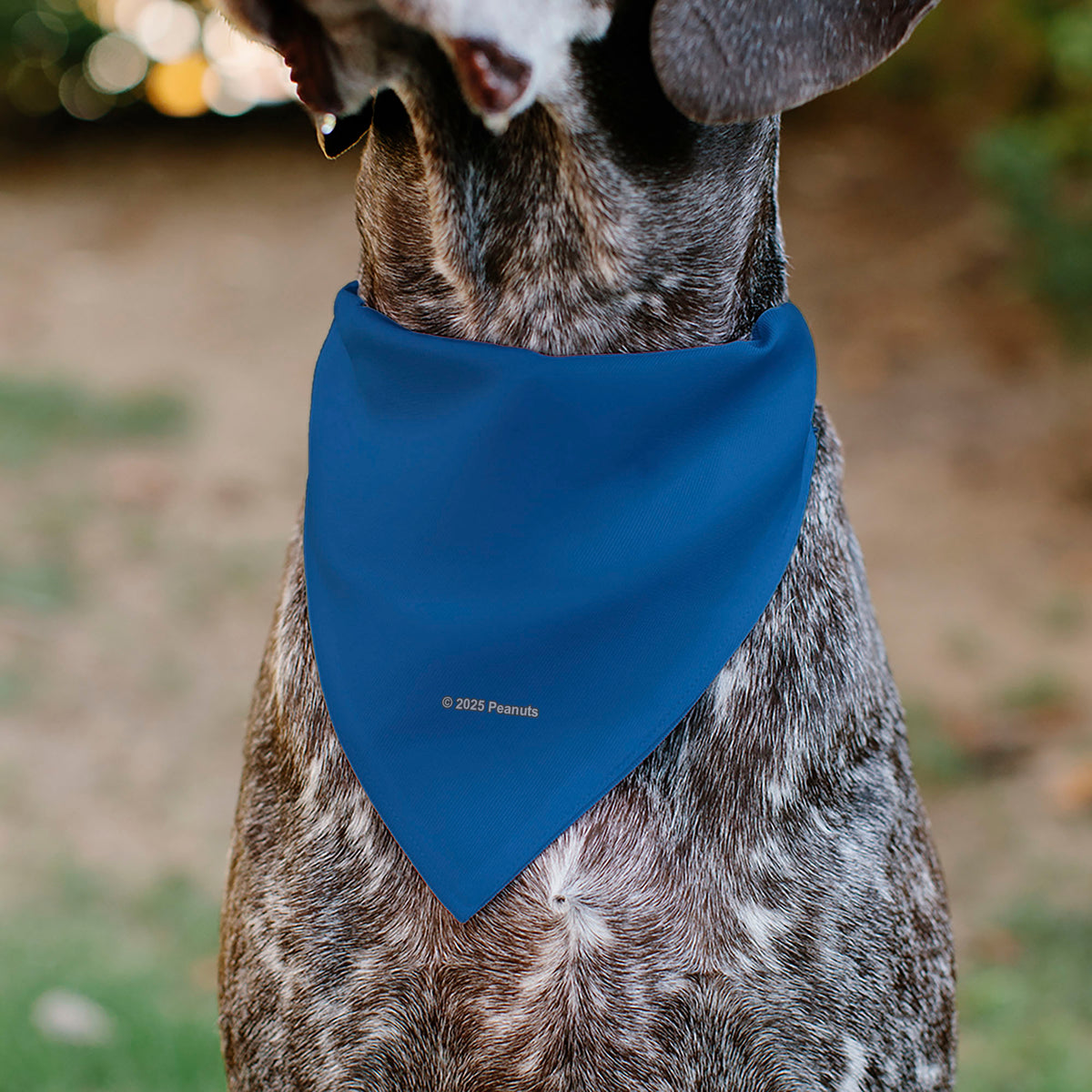 Pet Bandana - Peanuts Lucy van Pelt Smiling Face Pose Blue Pet Bandanas Peanuts