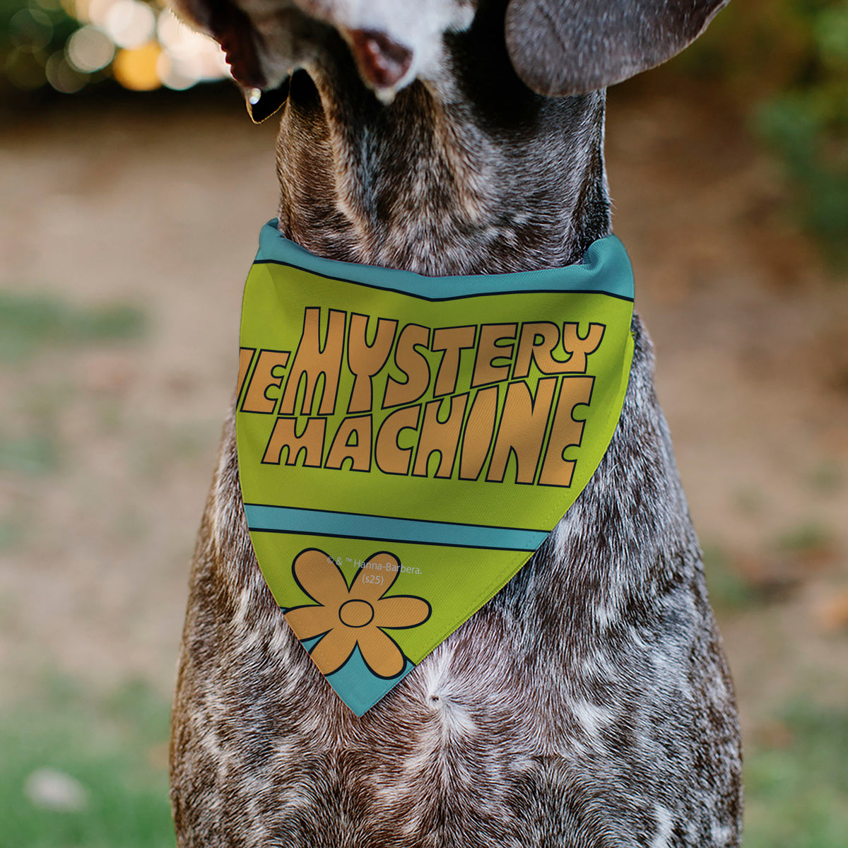 Pet Bandana - Scooby Doo THE MYSTERY MACHINE Logo Blues/Yellow/Orange Pet Bandanas Scooby Doo