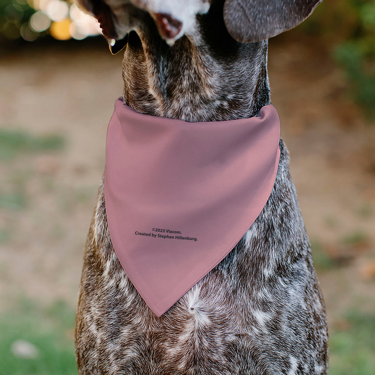 Pet Bandana - SpongeBob SquarePants Patrick Star Character Close-Up Pink Pet Bandanas SpongeBob SquarePants
