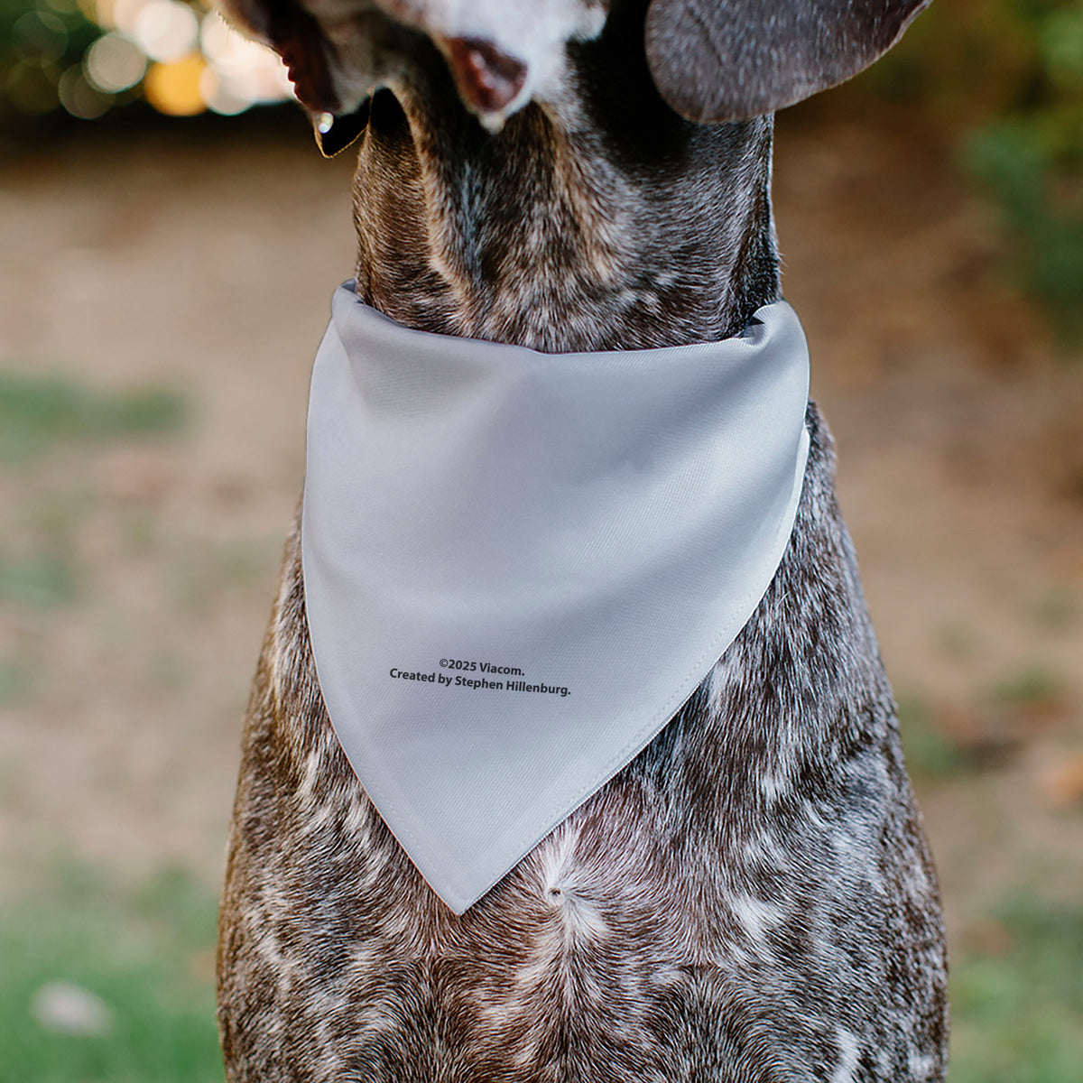 Pet Bandana - SpongeBob SquarePants Tie Outfit Character Close-Up Pet Bandanas SpongeBob SquarePants