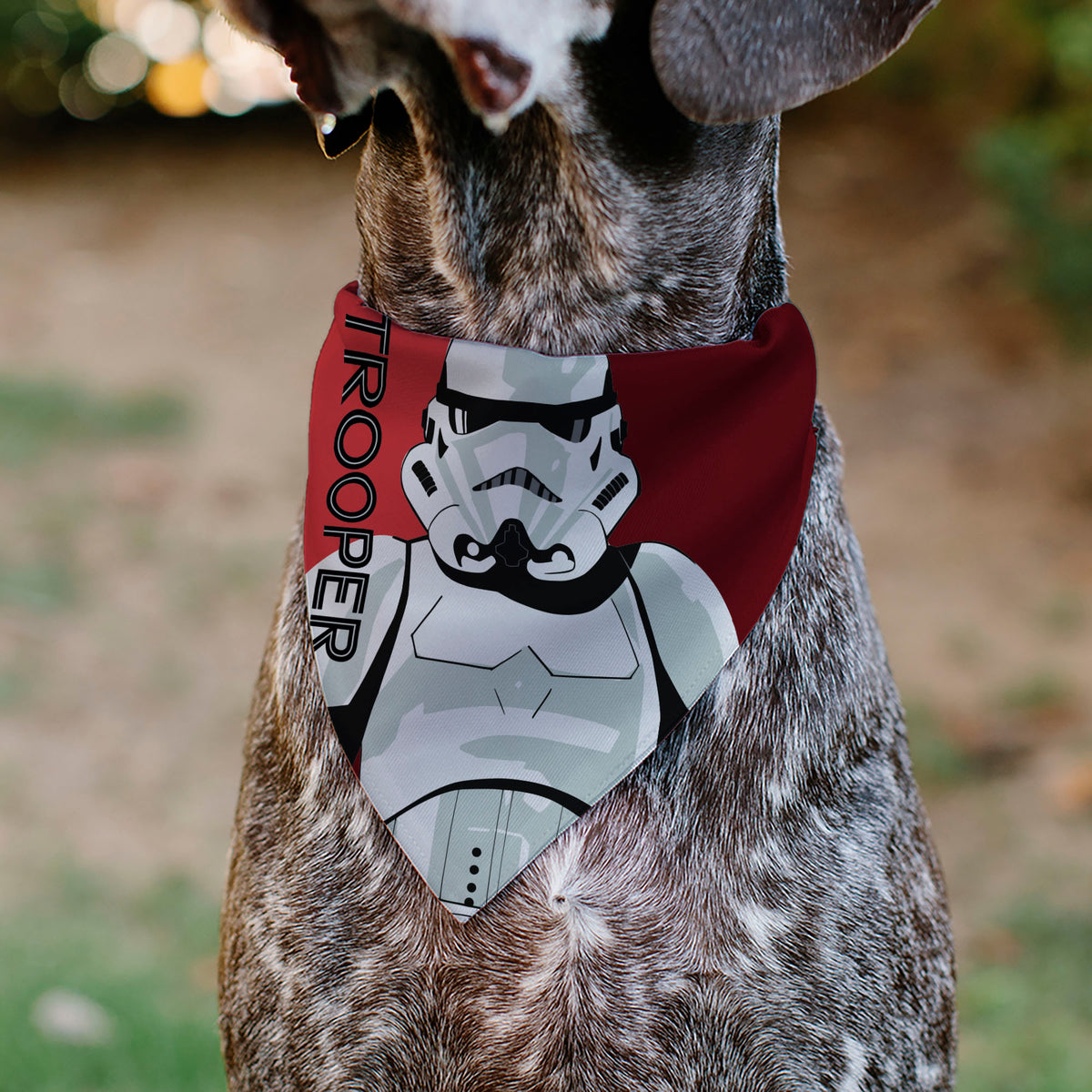 Pet Bandana - Star Wars TROOPER Text and Stormtrooper Pop Art Pose Reds/Black Pet Bandanas Star Wars
