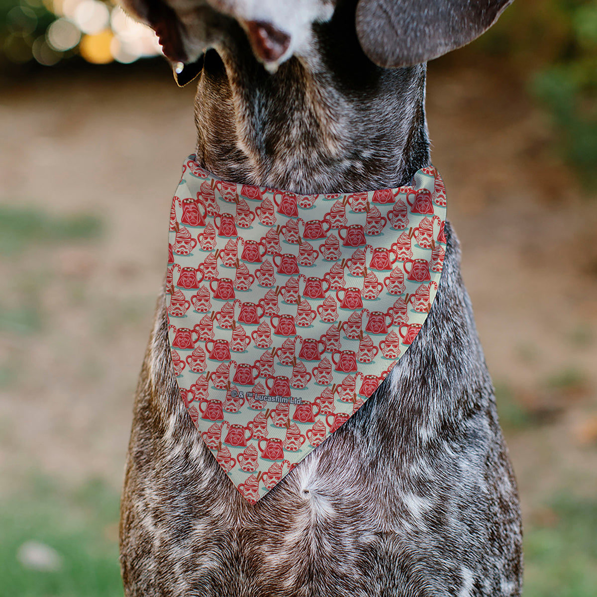 Pet Bandana - Star Wars Holiday HOT COCOA Quote Vader and Stormtrooper Mugs Pet Bandanas Star Wars
