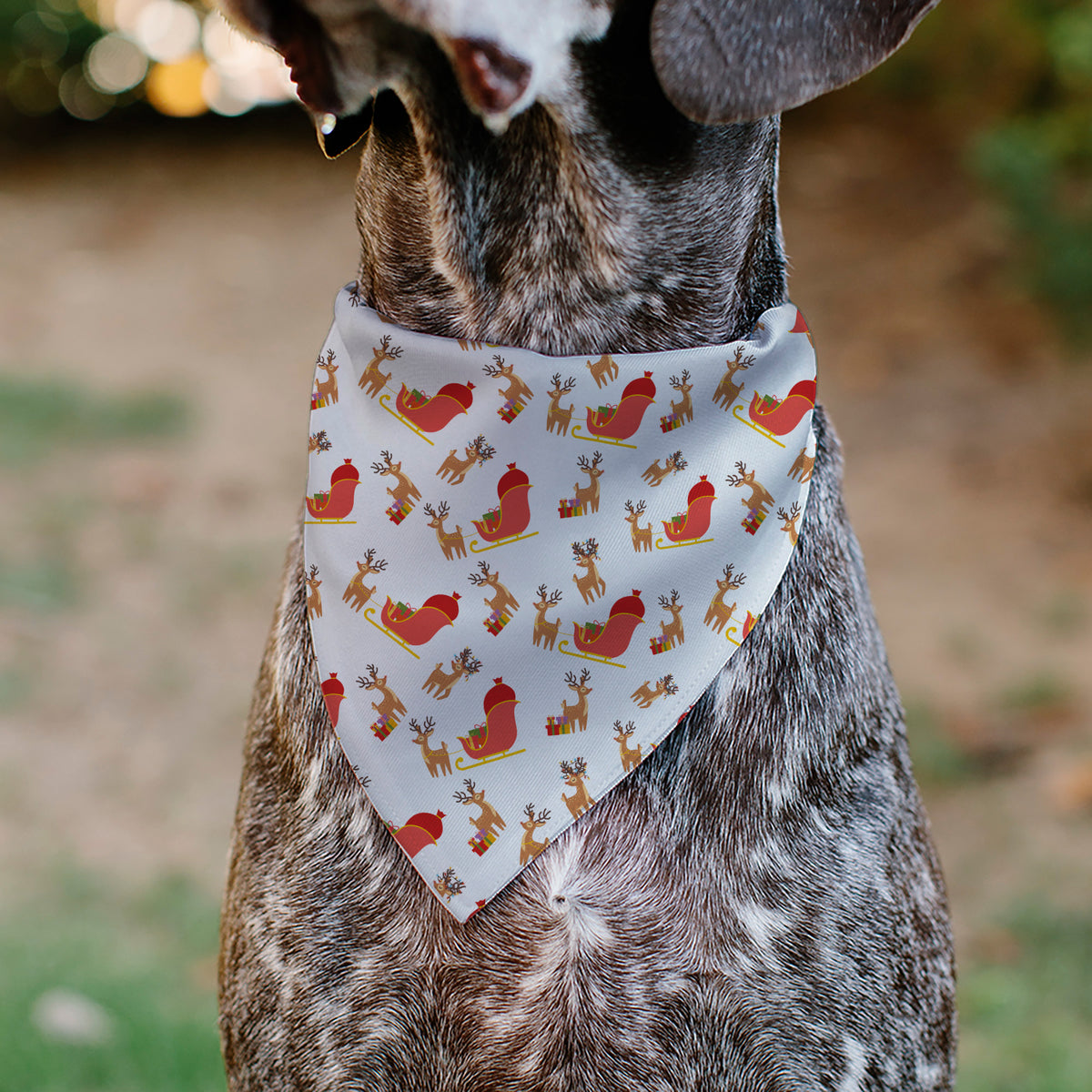 Pet Bandana - Holiday Santa Reindeers and Sleigh Collage White Pet Bandanas Buckle-Down