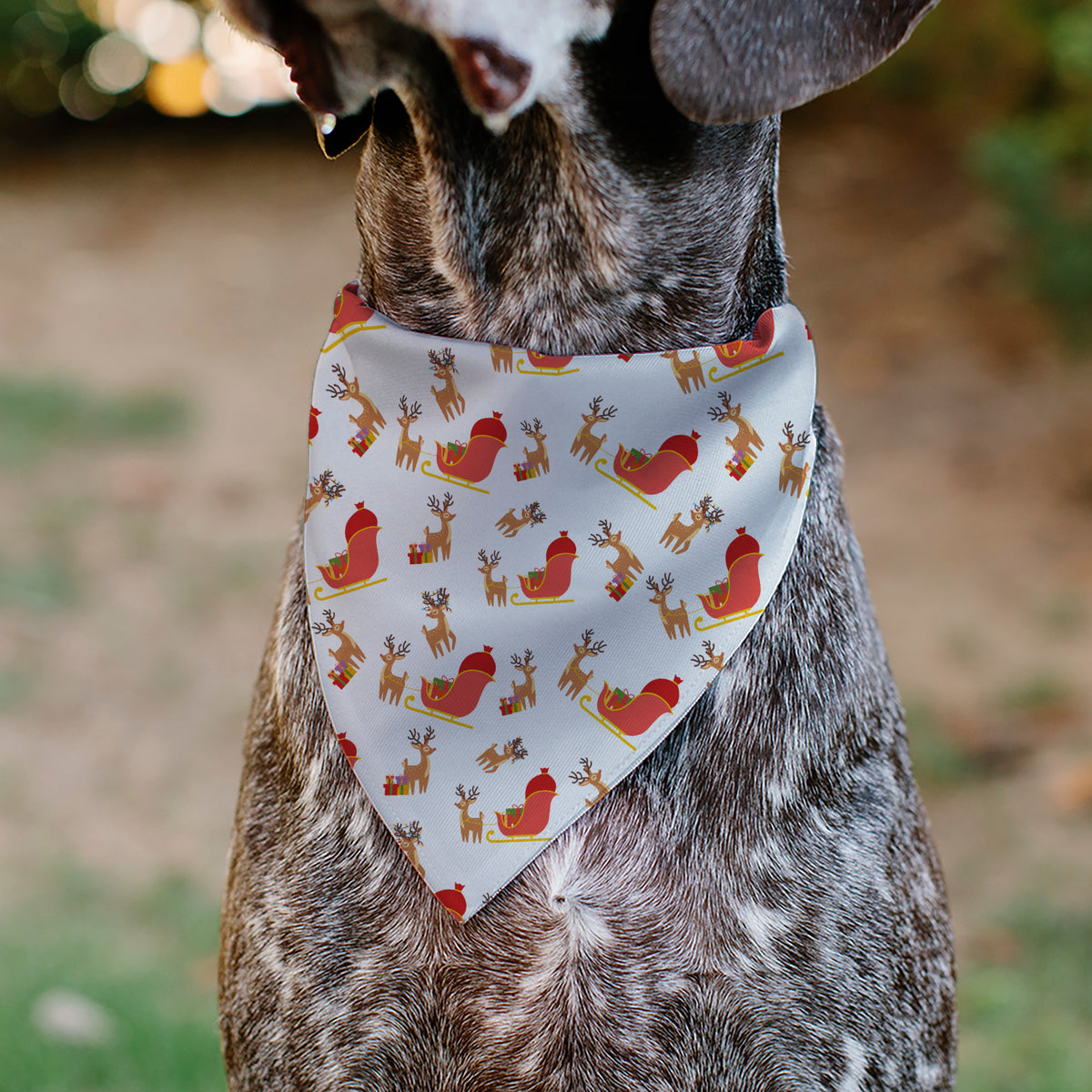 Pet Bandana - Holiday Santa Reindeers and Sleigh Collage White Pet Bandanas Buckle-Down