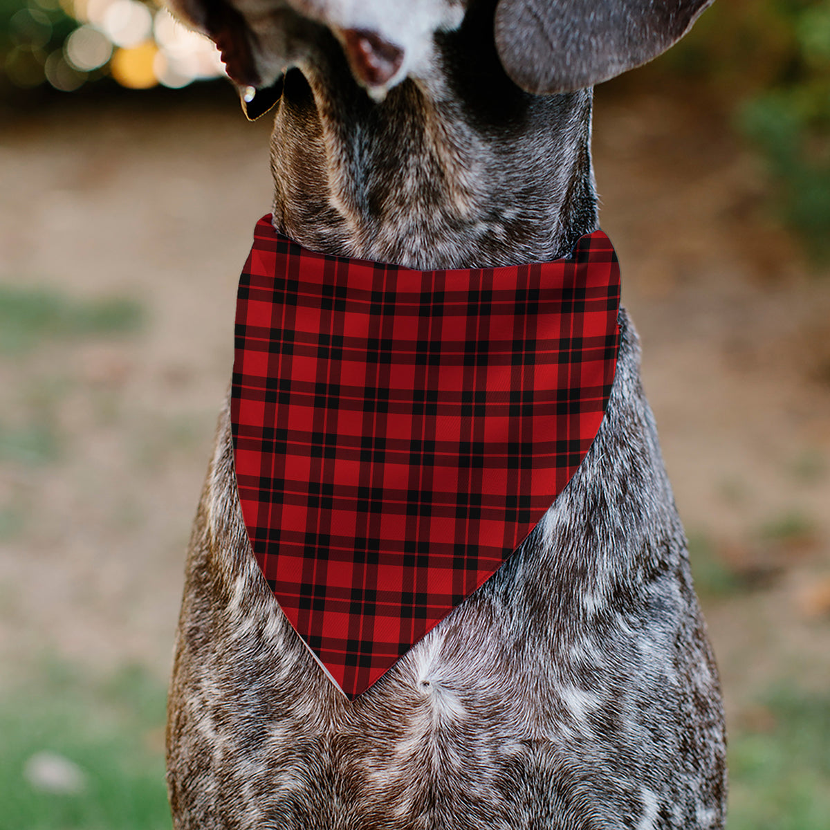 Pet Bandana - Holiday Pajama Plaid Red/Black Pet Bandanas Buckle-Down
