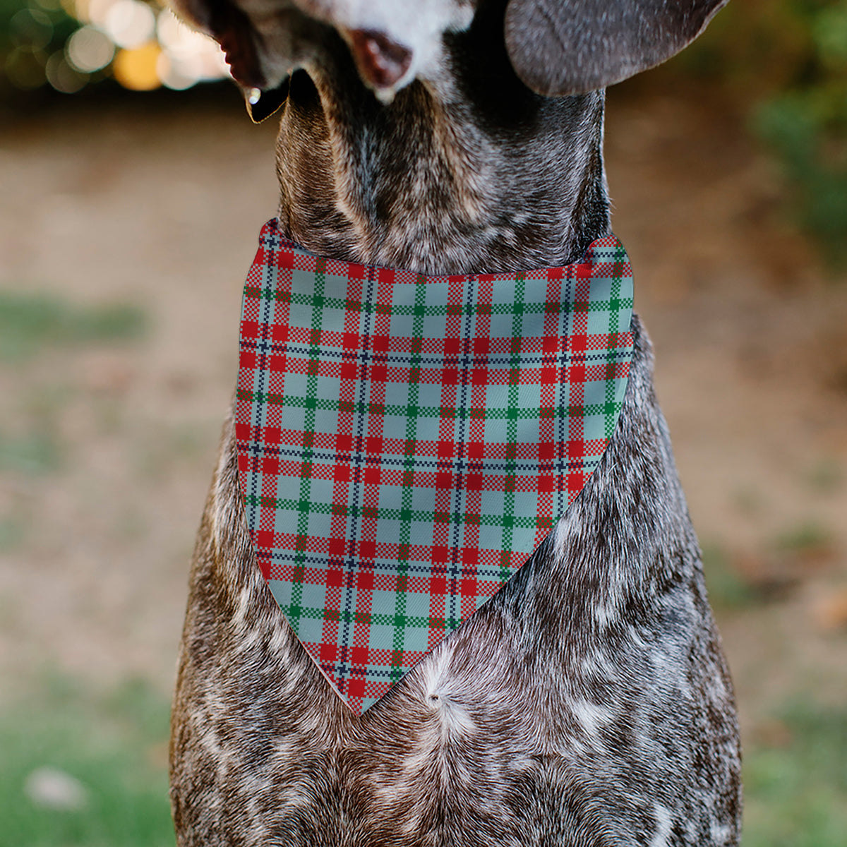 Pet Bandana - Holiday Pajama Plaid Beige/Red/Green Pet Bandanas Buckle-Down