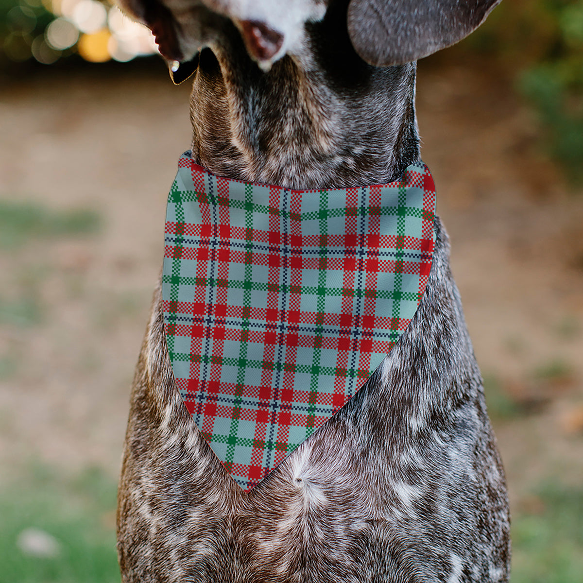 Pet Bandana - Holiday Pajama Plaid Beige/Red/Green Pet Bandanas Buckle-Down