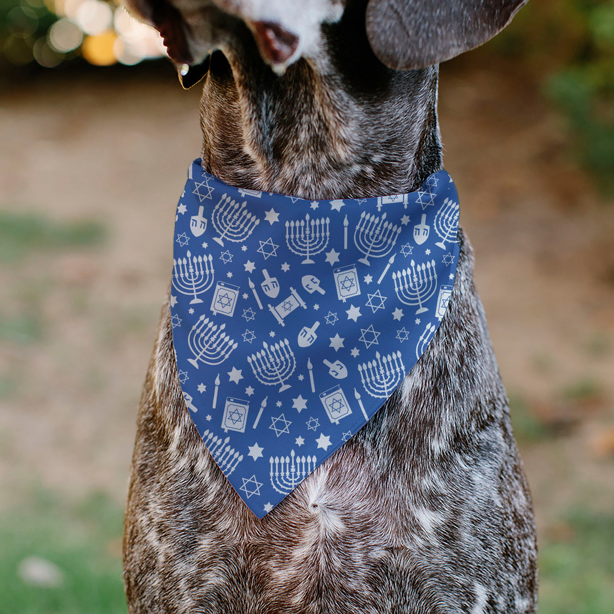 Pet Bandana - Hanukkah Holiday Symbols Blue/White Pet Bandanas Buckle-Down