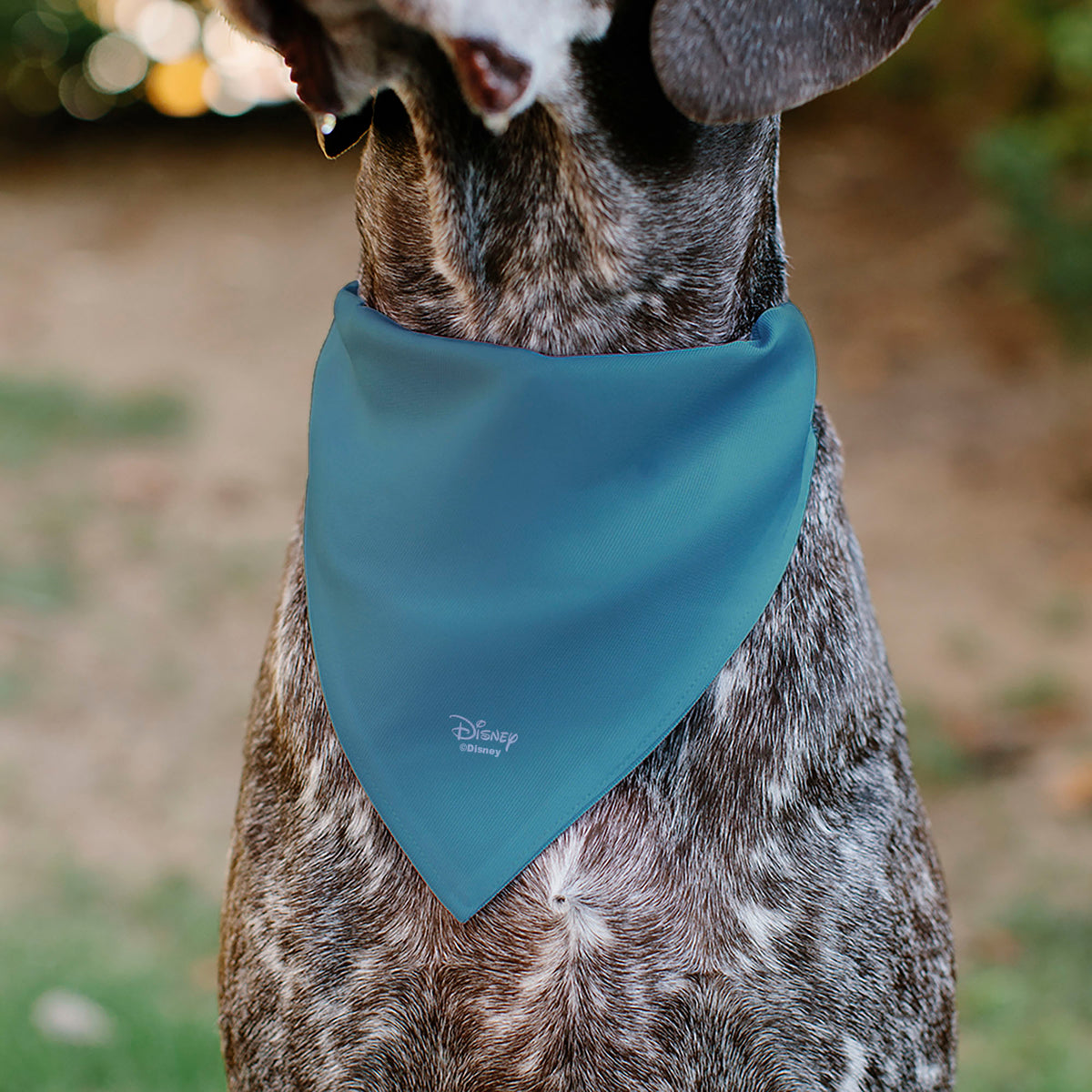Pet Bandana - The Little Mermaid Ariel Pose and Shells Sketch Pet Bandanas Disney