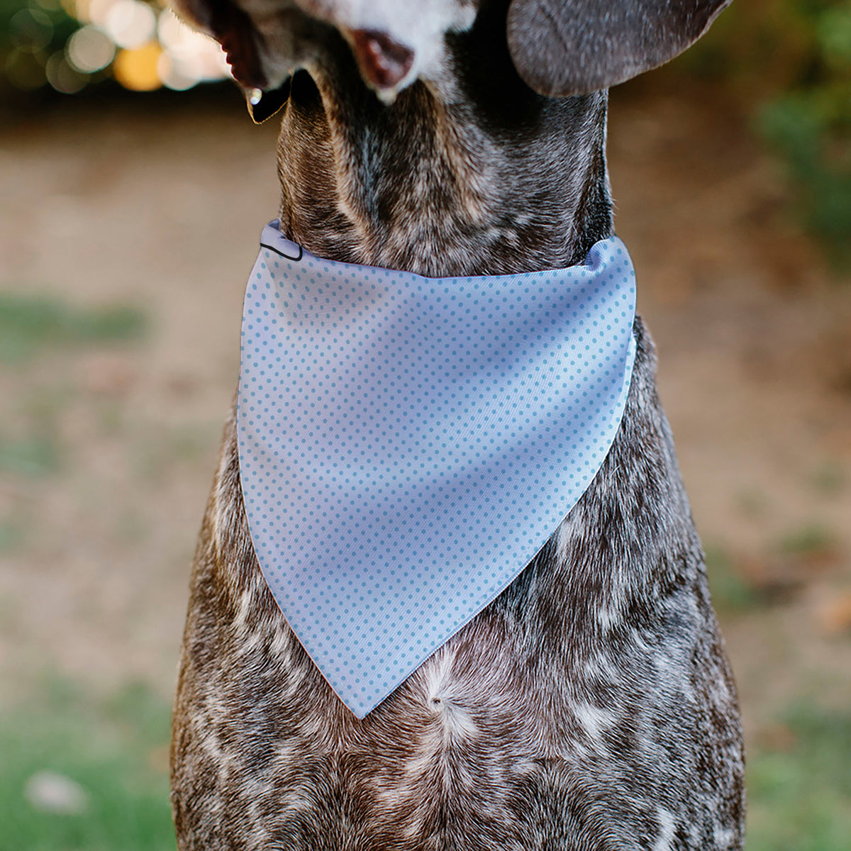 Pet Bandana - Lilo & Stitch Stitch Winking Pose and Polka Dots White/Blue Pet Bandanas Disney