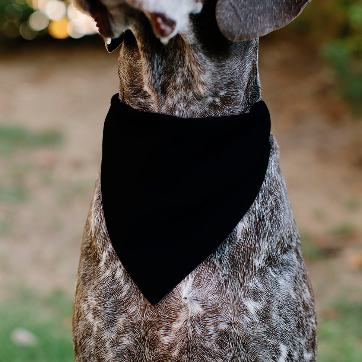 Pet Bandana - Nightmare Before Christmas ZERO Smiling Pose Black/White Pet Bandanas Disney