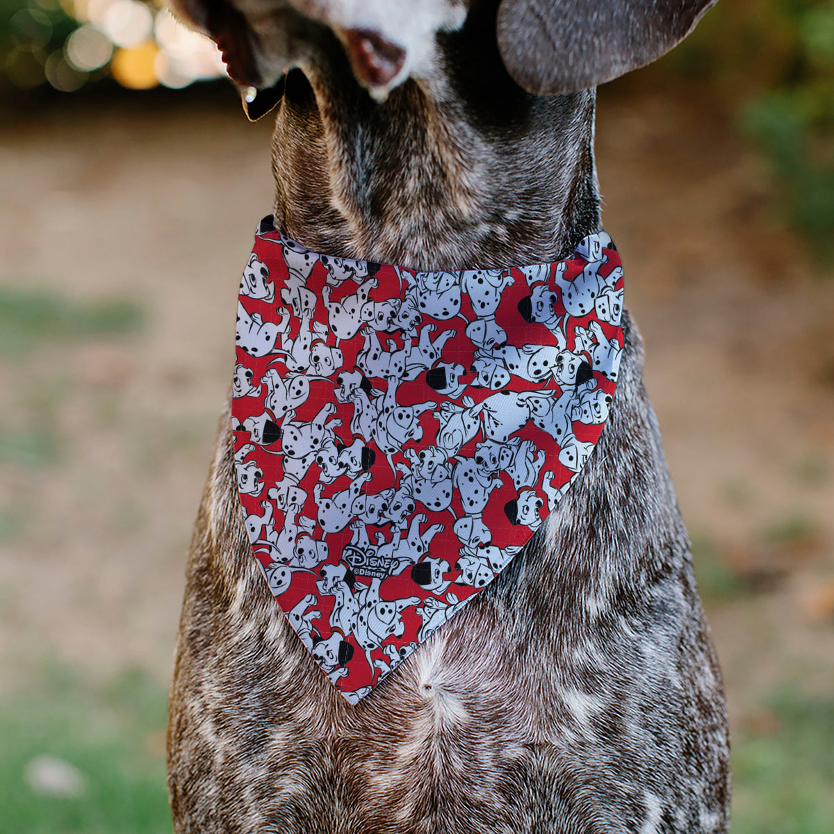 Pet Bandana - 101 Dalmatians Puppies Scattered Red Pet Bandanas Disney