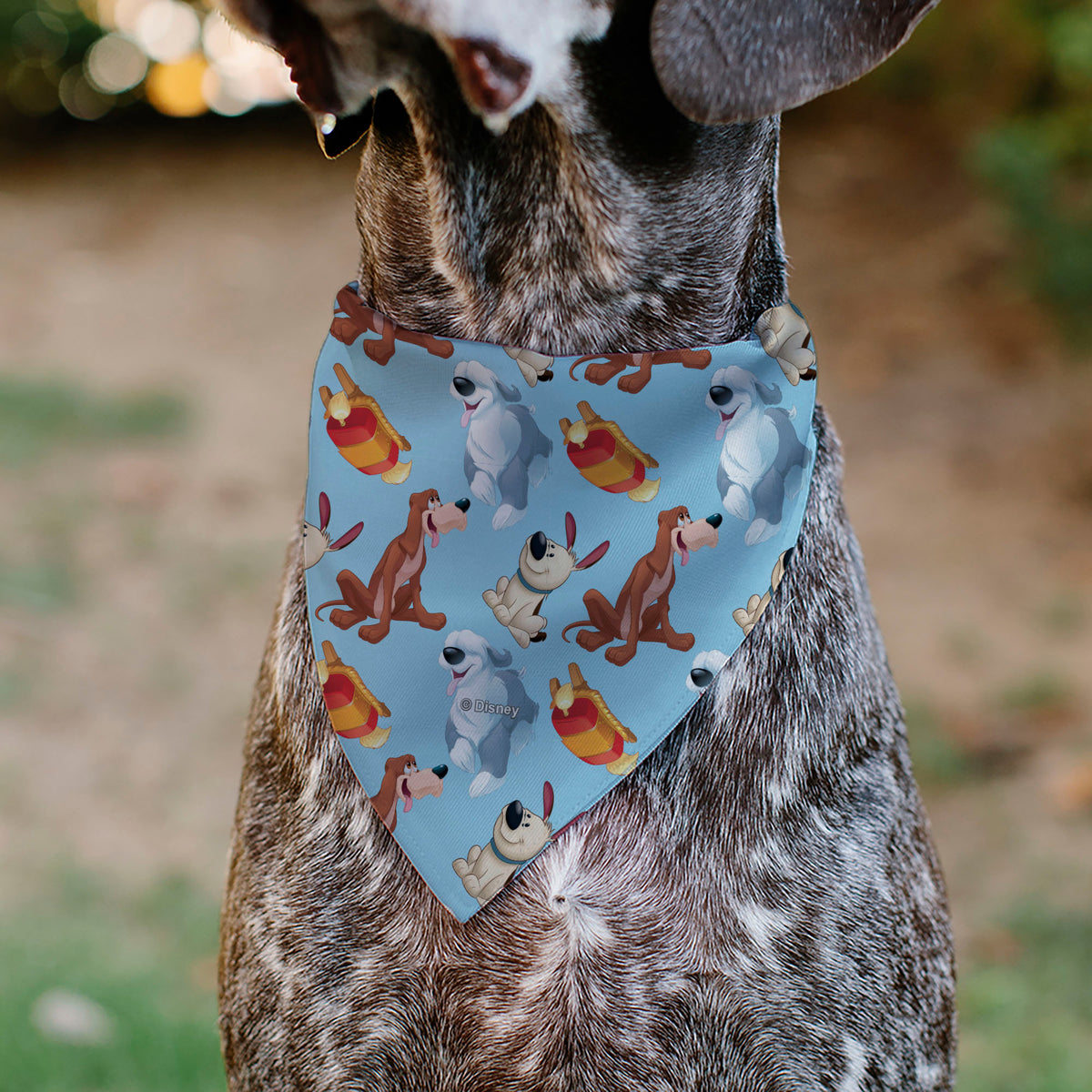 Pet Bandana - Disney Princess Dogs 4-Dog Group Collage/Paws Blues Pet Bandanas Disney