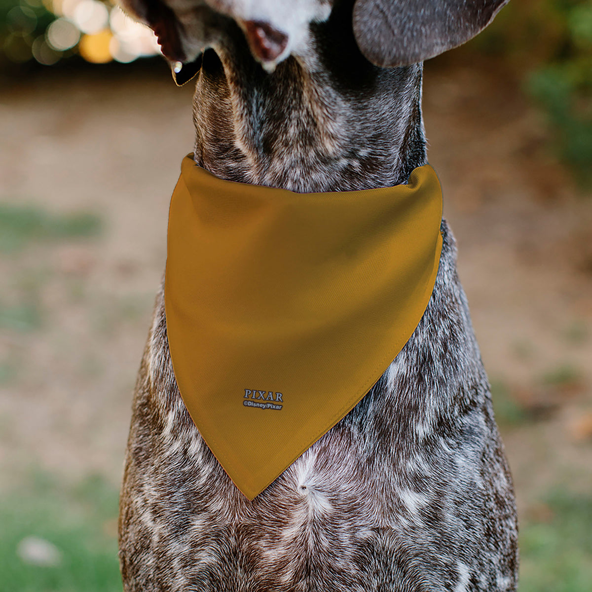 Pet Bandana - Up Dug Pose and Wilderness Explorer Badge Orange Pet Bandanas Disney