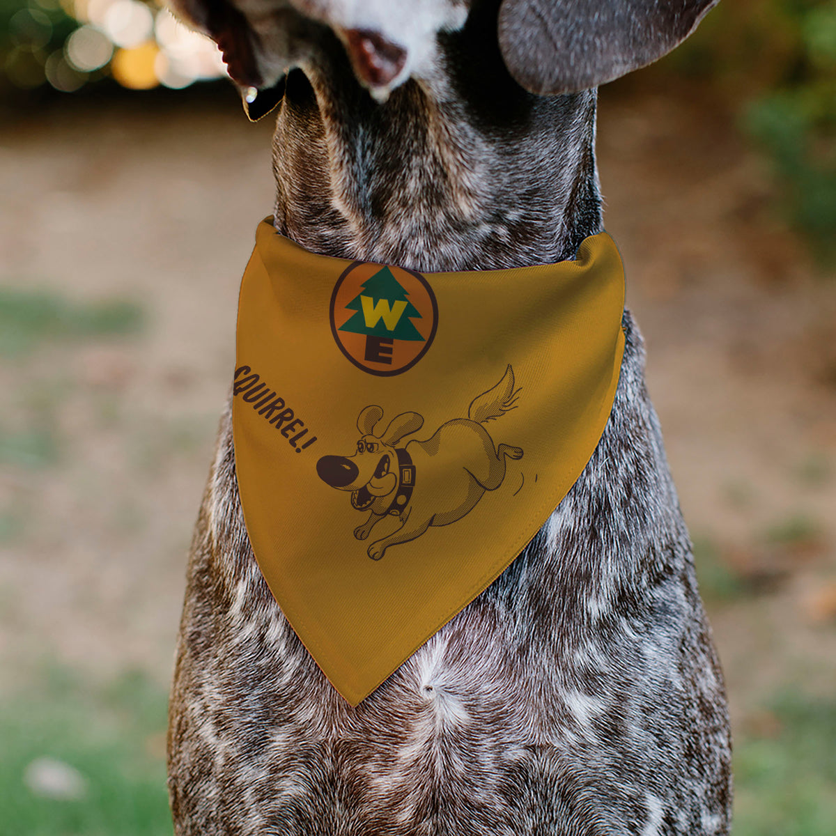 Pet Bandana - Up Dug SQUIRREL Pose and Wilderness Explorer Badge Orange Pet Bandanas Disney