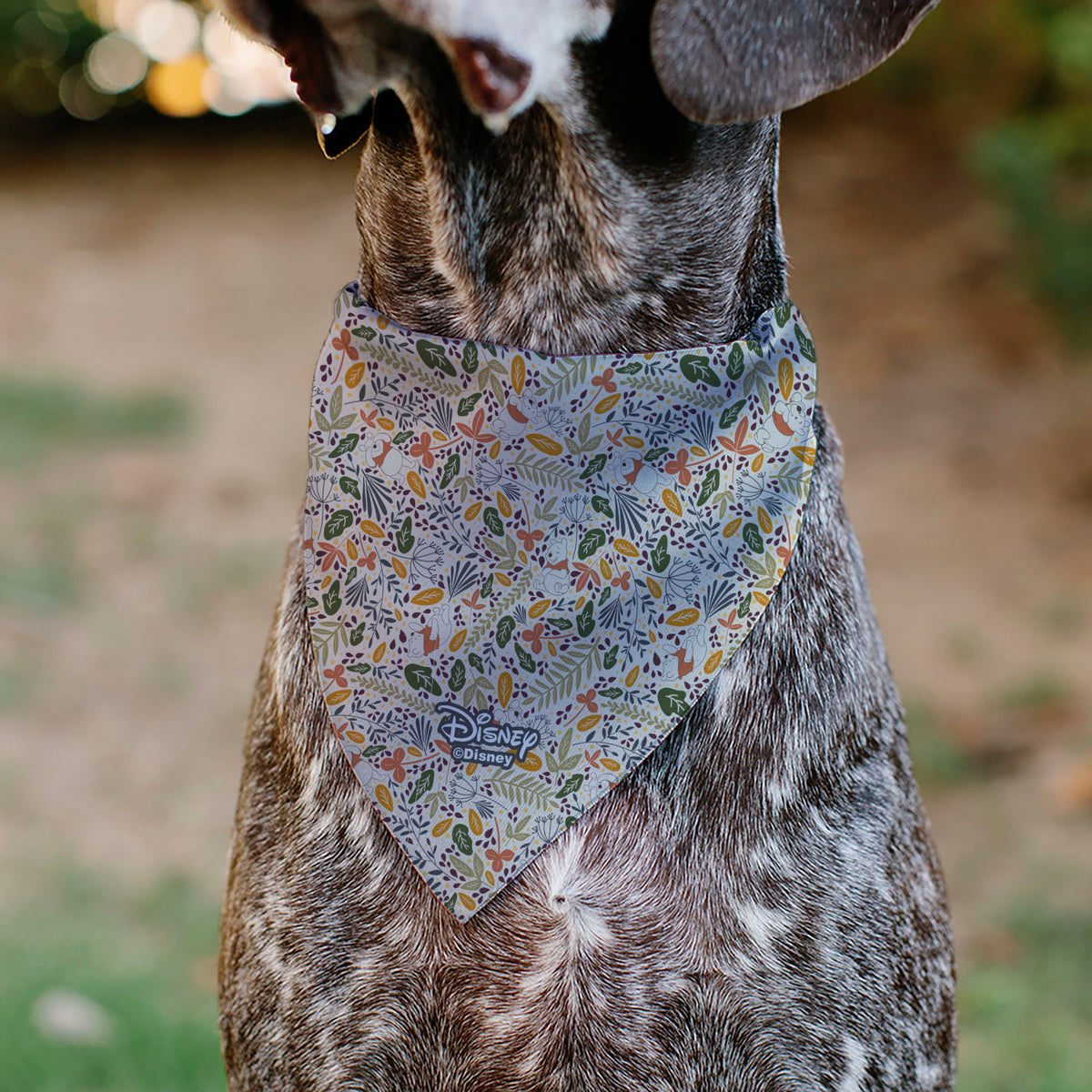 Pet Bandana - Winnie the Pooh Smiling Face/Foliage Collage Beige/Green/Orange/Yellow Pet Bandanas Disney