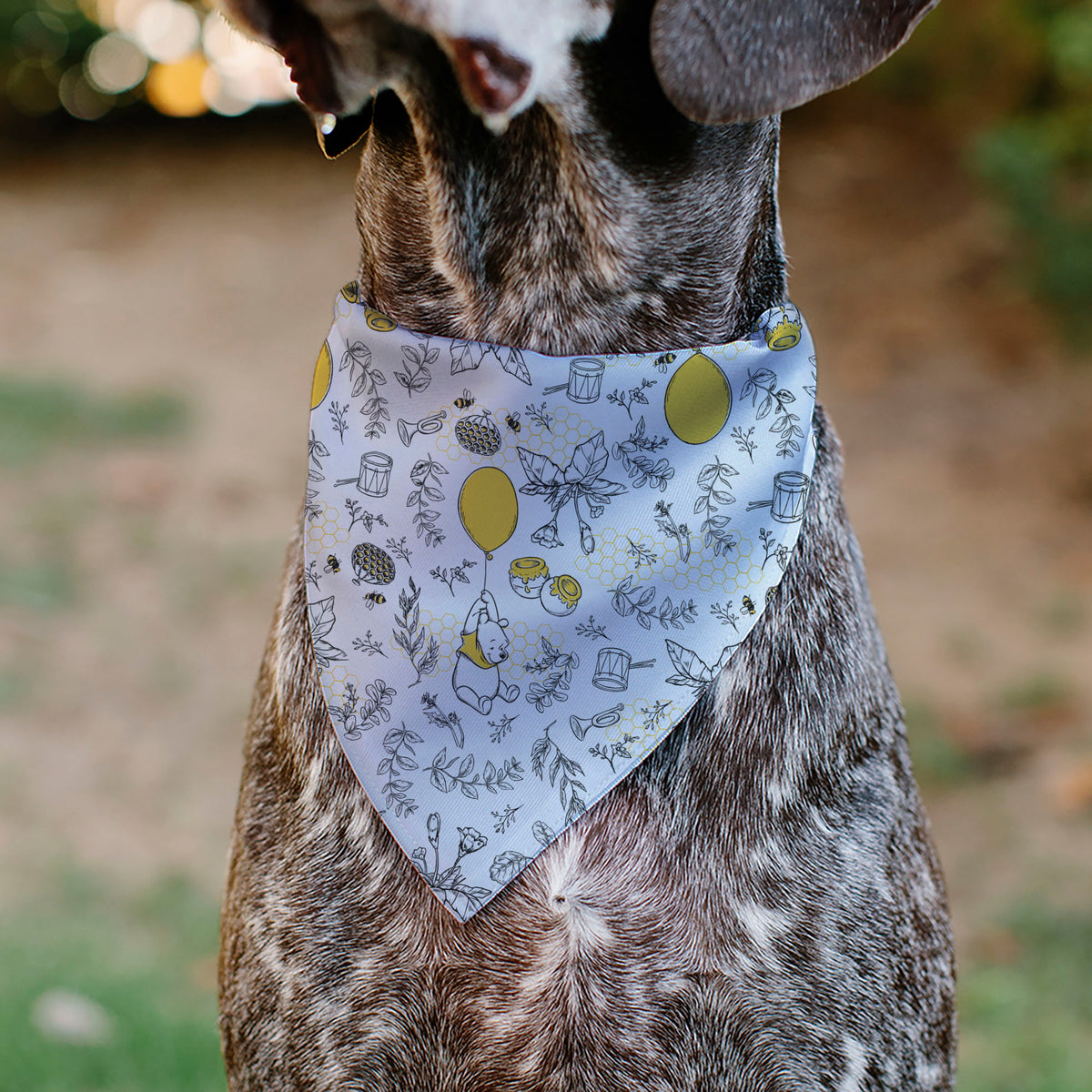 Pet Bandana - Winnie the Pooh Balloon Pose and Foliage Collage Beige/Black/Yellows Pet Bandanas Disney