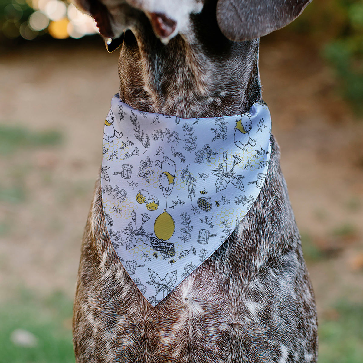 Pet Bandana - Winnie the Pooh Balloon Pose and Foliage Collage Beige/Black/Yellows Pet Bandanas Disney