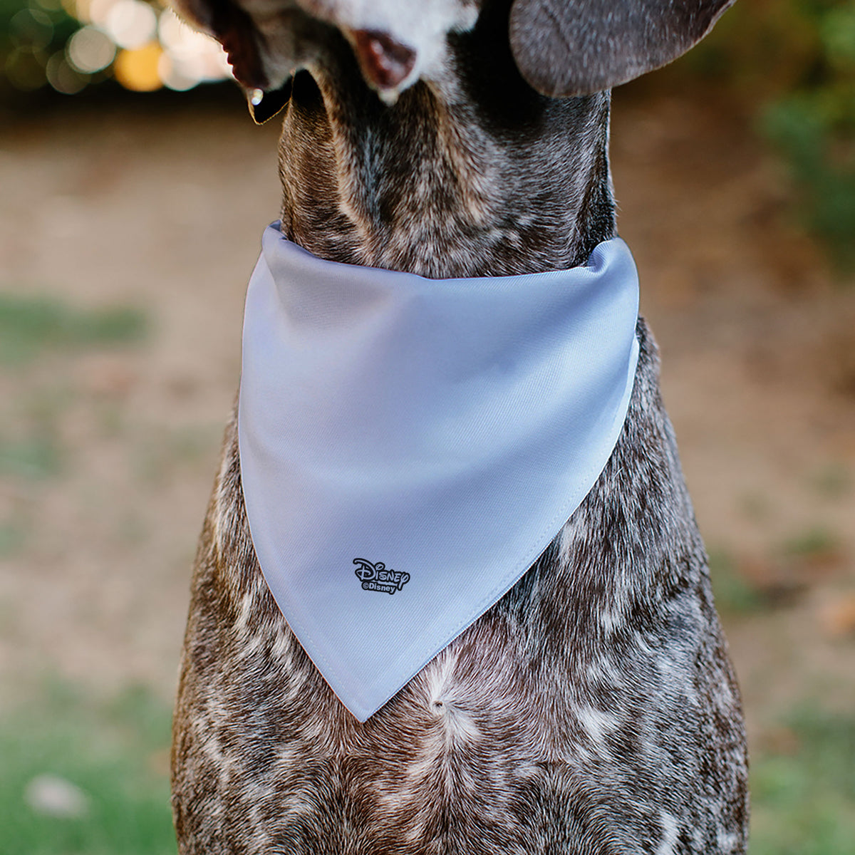 Pet Bandana - Disney Dogs 9-Dog Group Collage/Stars White/Black/Yellow Pet Bandanas Disney