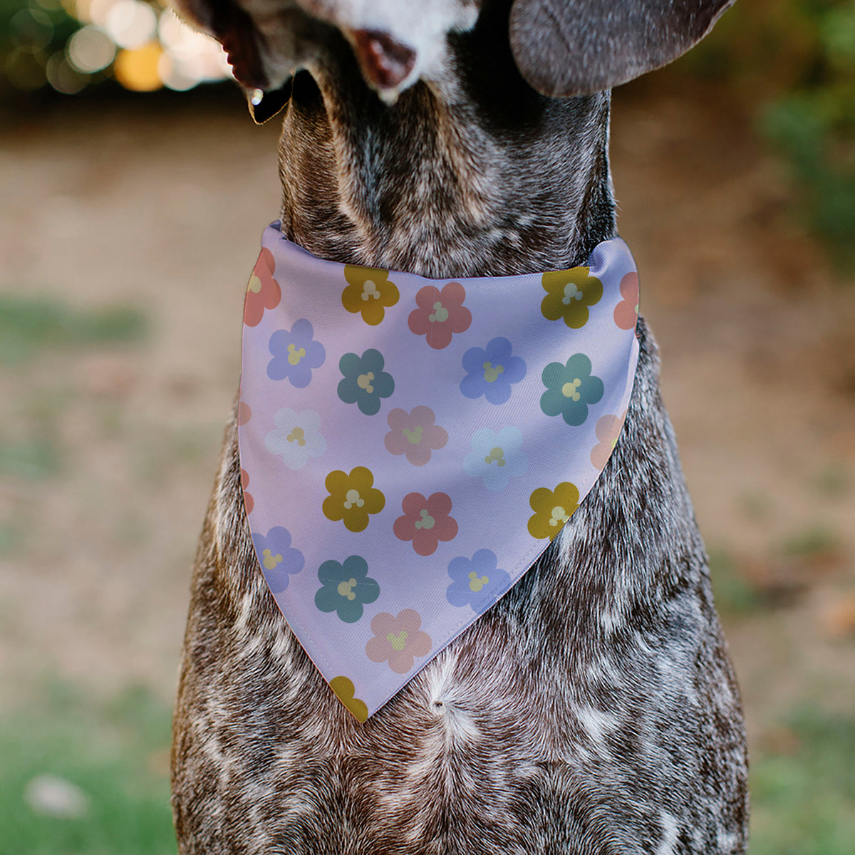 Pet Bandana - Mickey Mouse Ears Flower Icon Scattered Pink Pet Bandanas Disney