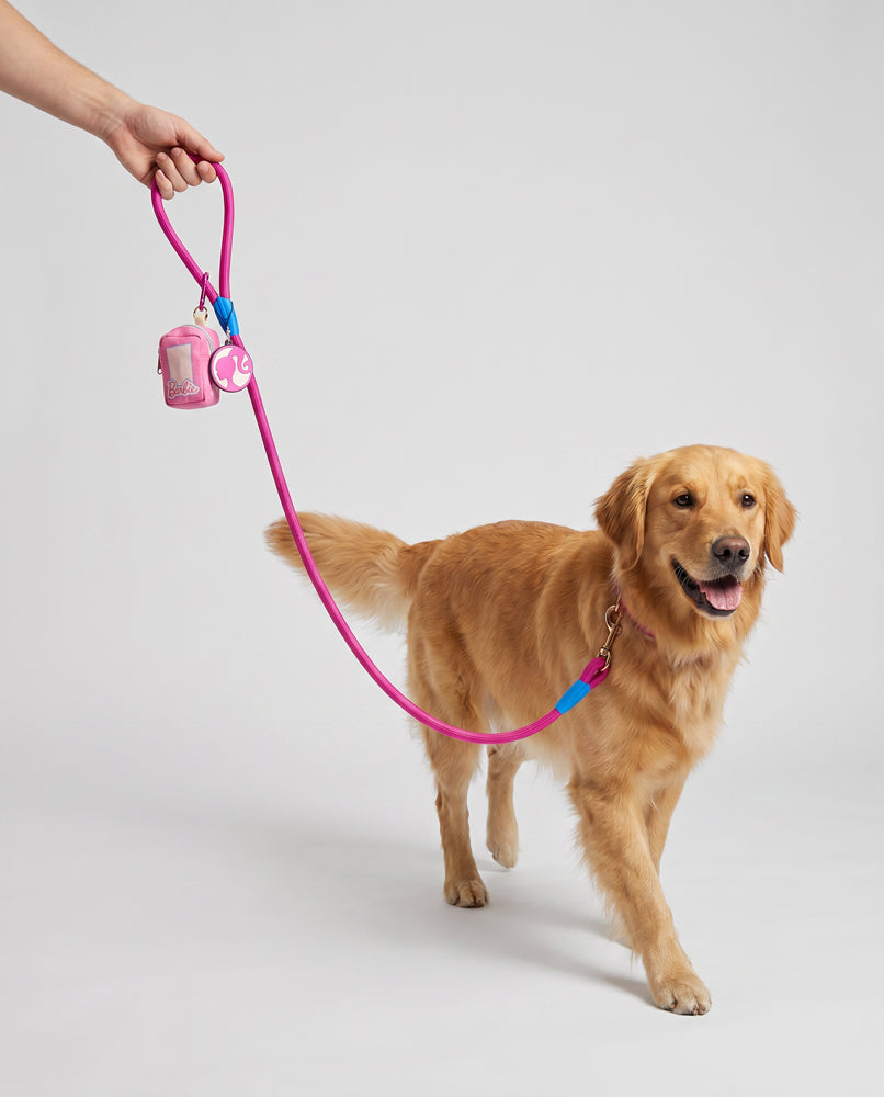 Dog Leash - Barbie Pink Rope Leash with Doll Box Shape Dispenser Dog Leashes Rope Leash + Waste Bag Dispenser Barbie